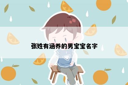 张姓有涵养的男宝宝名字